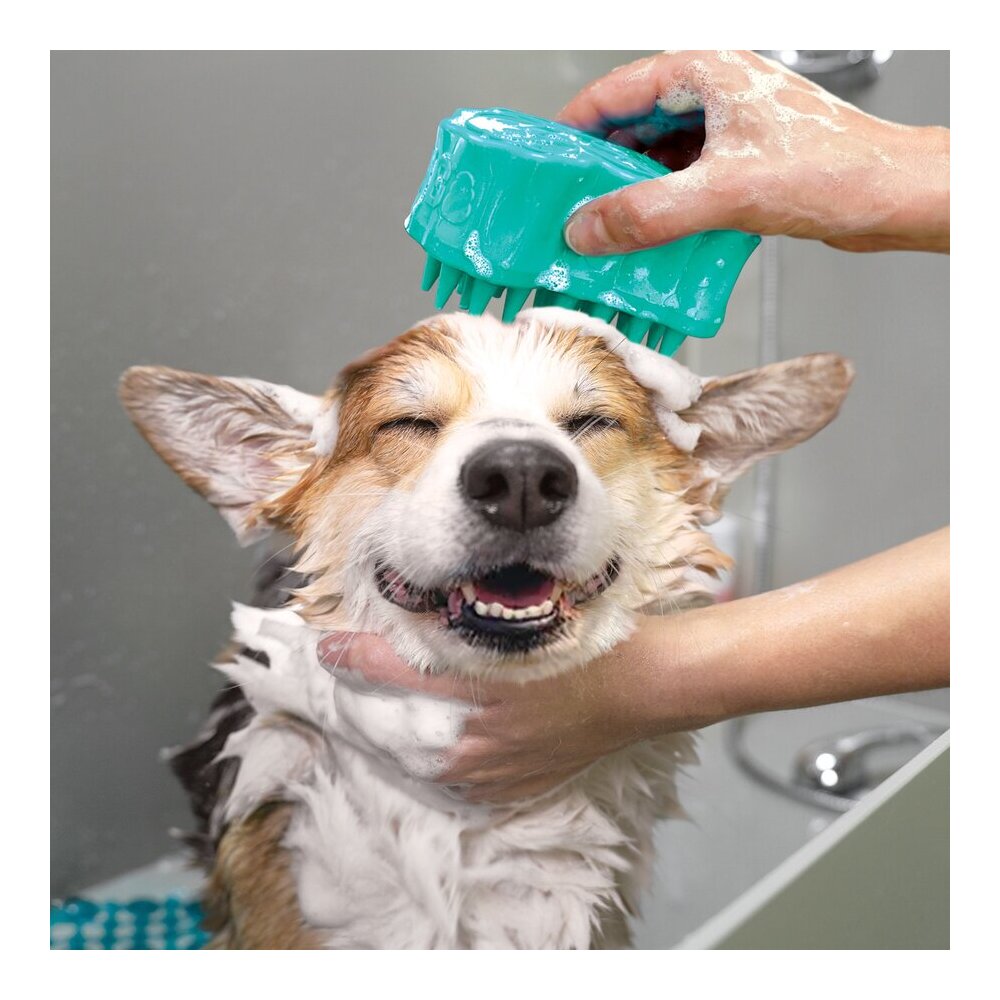 img Cepillo KONG ZoomGroom Bubbles