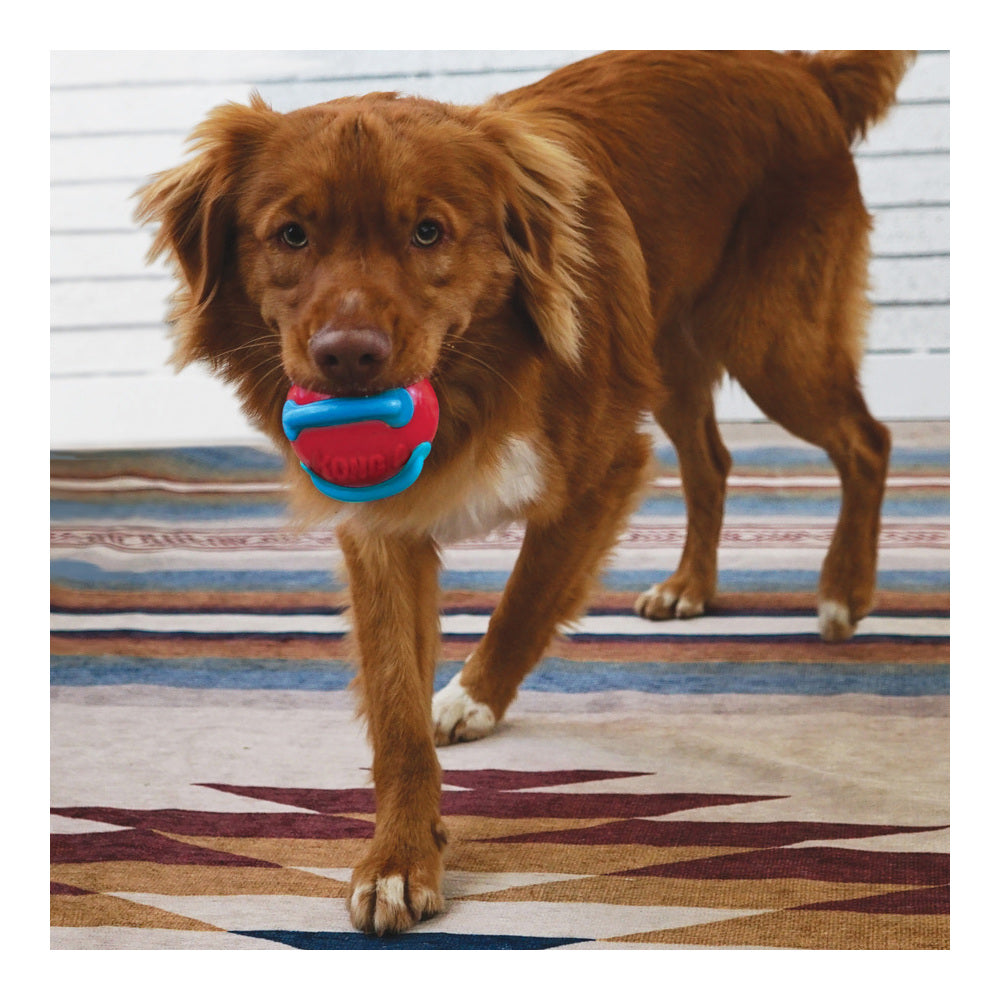 img Juguete KONG Jaxx Brights Tug w/Ball