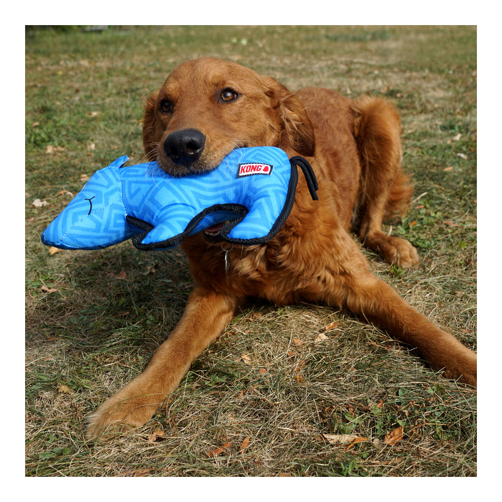 img Peluche KONG Ballistic Rhino