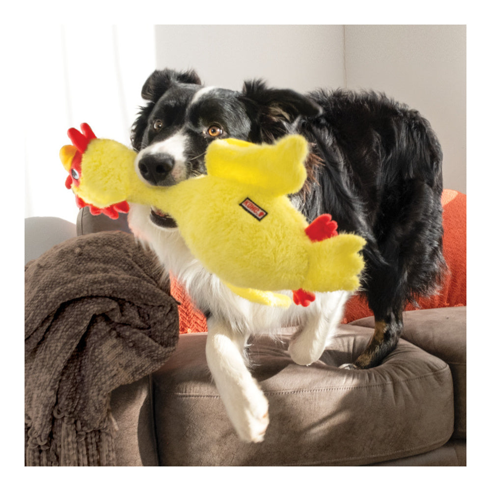 img Peluche KONG Scruffs Chicken