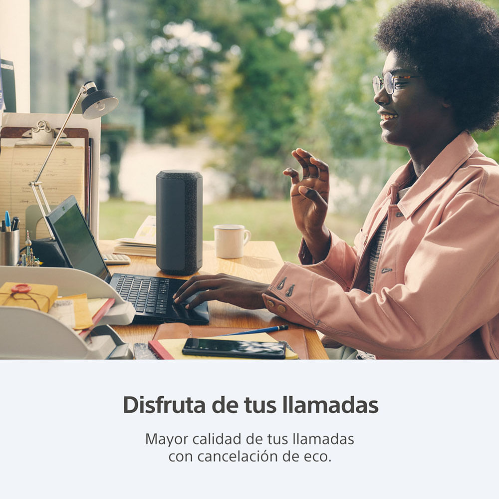 img Parlante inalámbrico portátil XE300 Sony de la serie X