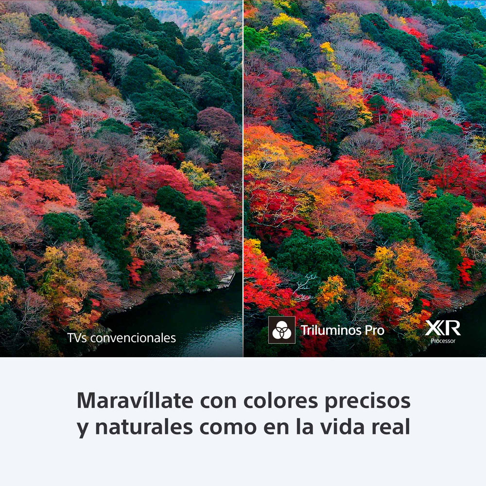 img LED 55" Smart TV Sony Bravia 8 4K HDR K-55XR80