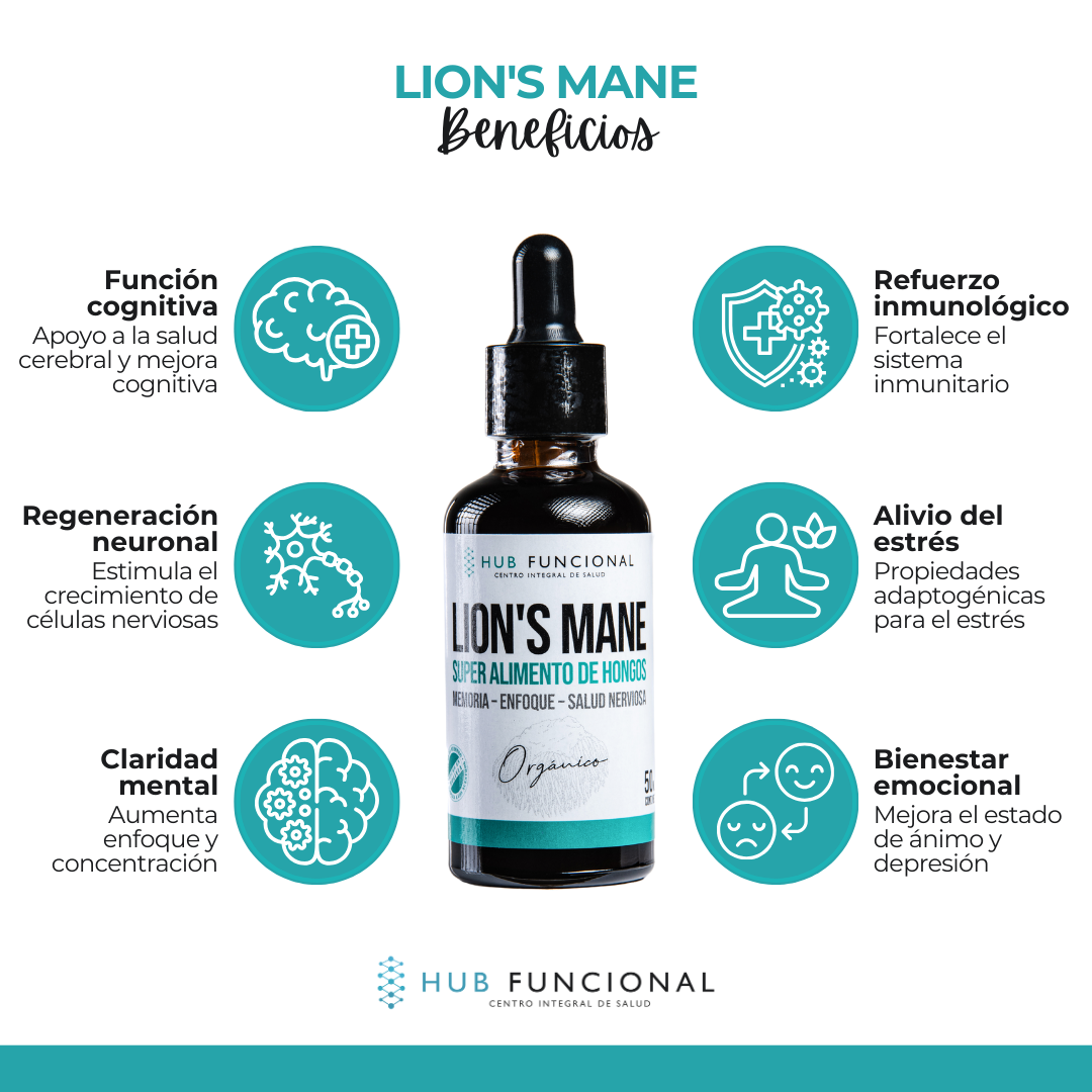 img Lion's Mane Hongo Medicinal Hub Funcional
