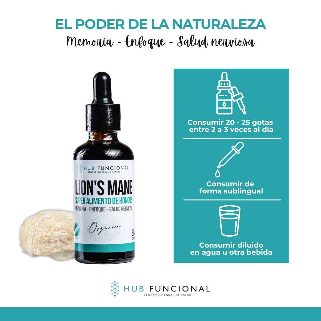 img Lion's Mane Hongo Medicinal Hub Funcional