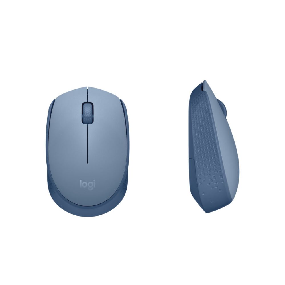 img Mouse Logitech M170 Blue Grey