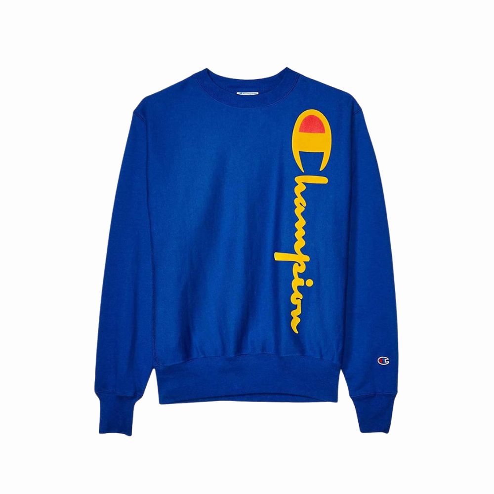 Pullover Champion Surf the Web